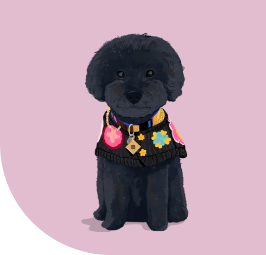 Charlie the dog's portrait